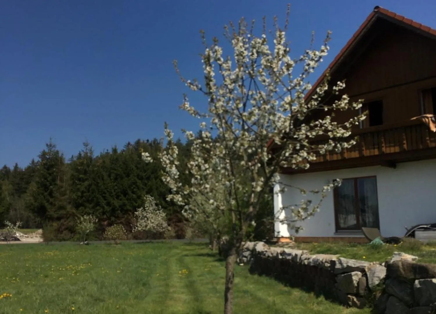 Ferienhaus Zur Thusstrasse Roslau Casa de Férias