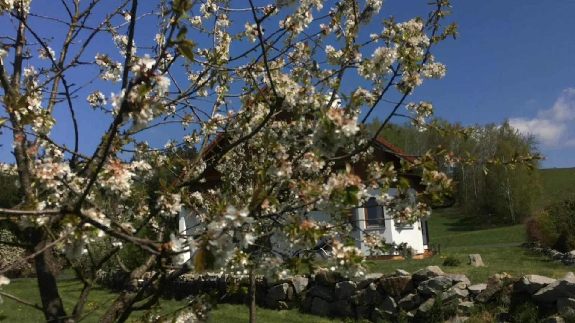 Casa de Férias Ferienhaus Zur Thusstrasse Roslau