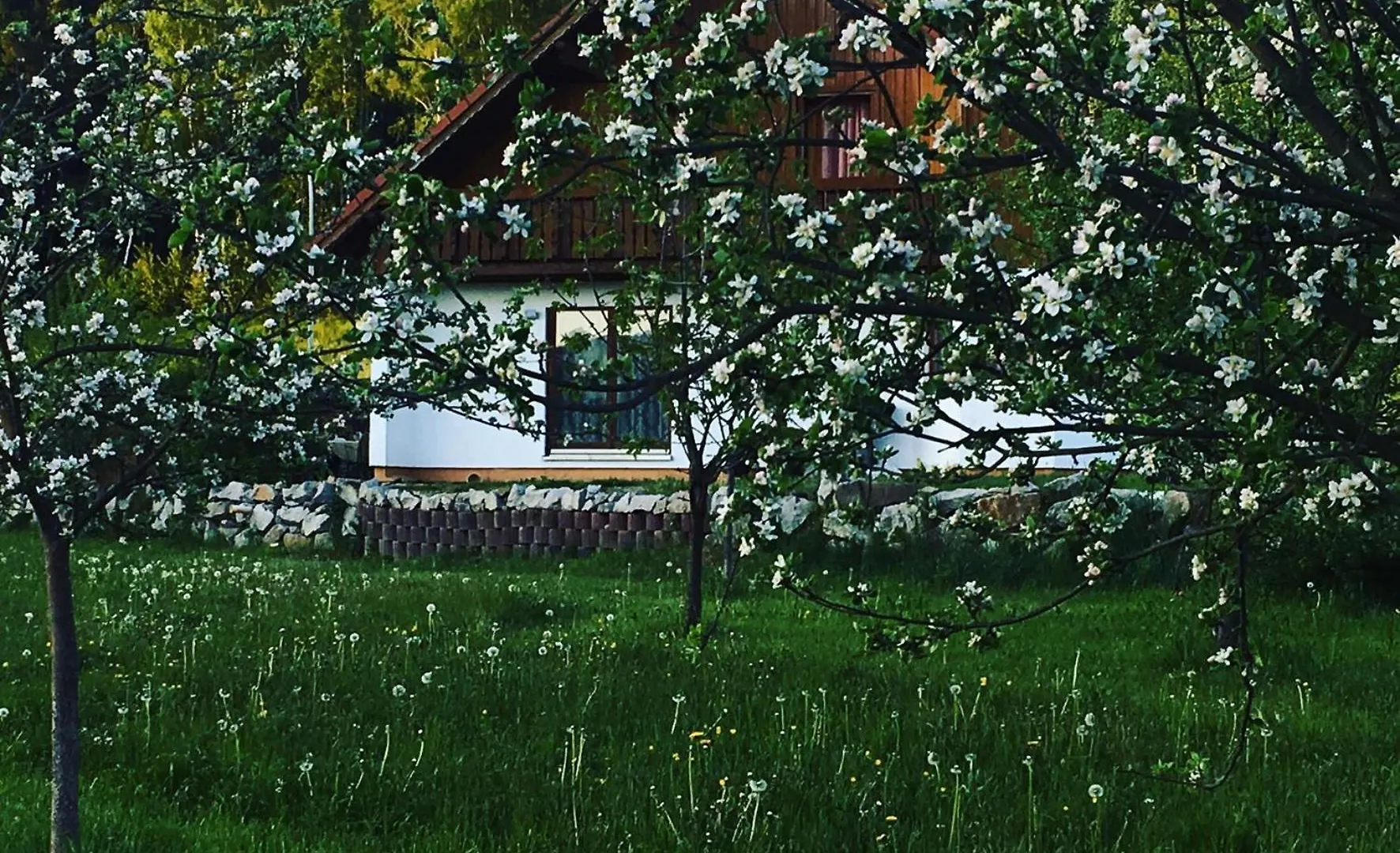 Ferienhaus Zur Thusstrasse Roslau Alemanha